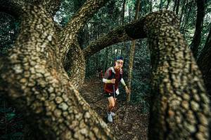 BIB: 
                            <button type="button" onclick="openModal(25394296)" class="btn btn-primary btn-sm float-right btn-popup" data-toggle="modal" data-target=".modal-high-quality">
                        <i class="fas fa-shopping-cart"></i> Add to Cart
                    </button>
                                            <button type="button" onclick="isThisMe(25394296, true)" class="btn btn-success btn-sm float-right btn-popup btn-isme hidden" data-toggle="tooltip" data-placement="bottom" title="นี่คือรูปของคุณใช่ไหม คลิกที่นี่เพื่อเอาเข้าอัลบั้ม">
                        <i class="fas fa-plus"></i> Add to album
                    </button>
                    <button type="button" onclick="isThisMe(25394296, false)" class="btn btn-warning btn-sm float-right btn-popup btn-isnotme hidden">
                        <i class="fas fa-ban"></i> Remove from album
                    </button>